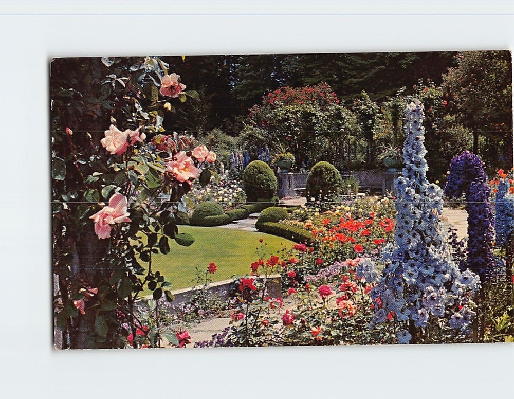 Postcard Delphinium Time Butchart Gardens Victoria BC Canada