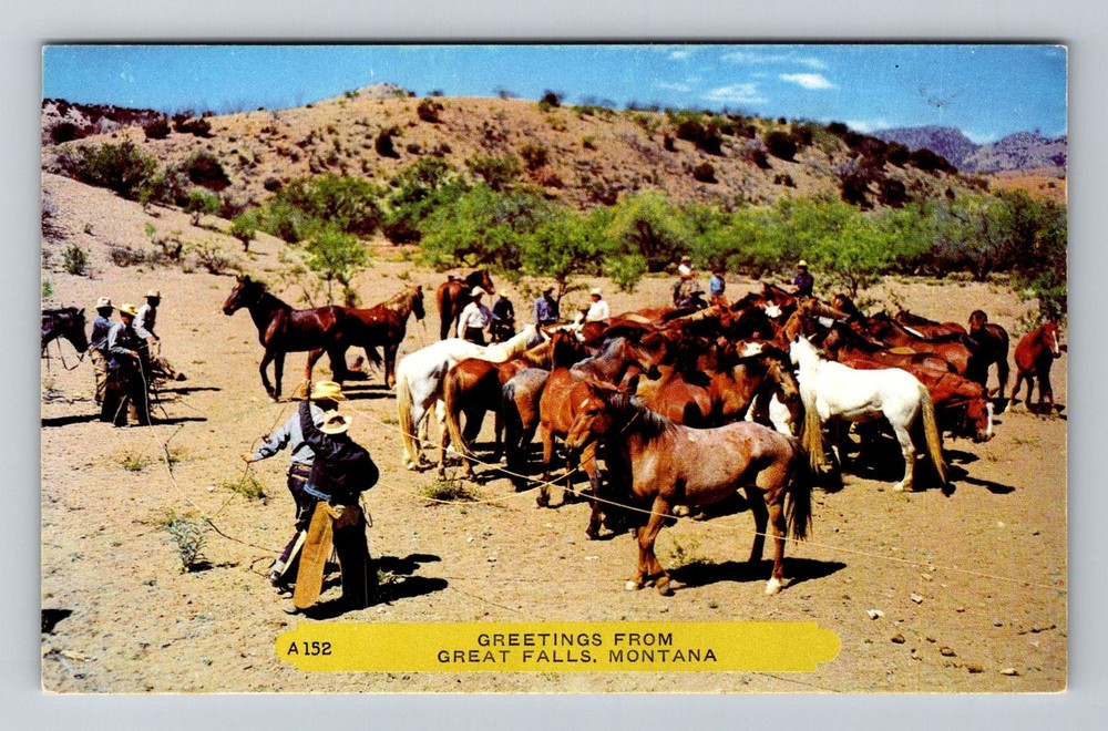 Great Falls, MT-Montana, Cowboys Herding Horses Western Scene Vintage Postcard