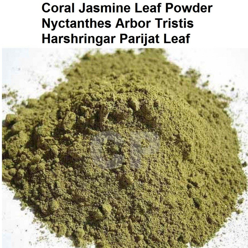 Coral Jasmine Leaf Powder Nyctanthes Arbor Tristis Harshringar 100gm (3.5 OZ).