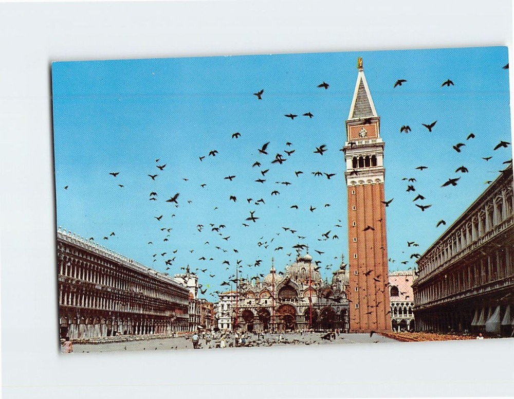 Postcard Flight of pigeons St. Marcus Square Venice Italy