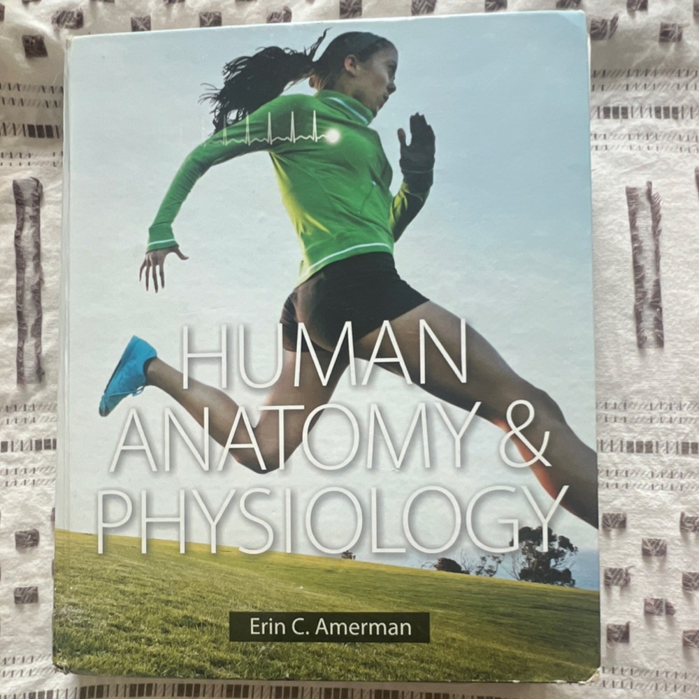 Human Anatomy & Physiology Hardcover by Erin C. Amerman Pearson Illustrated