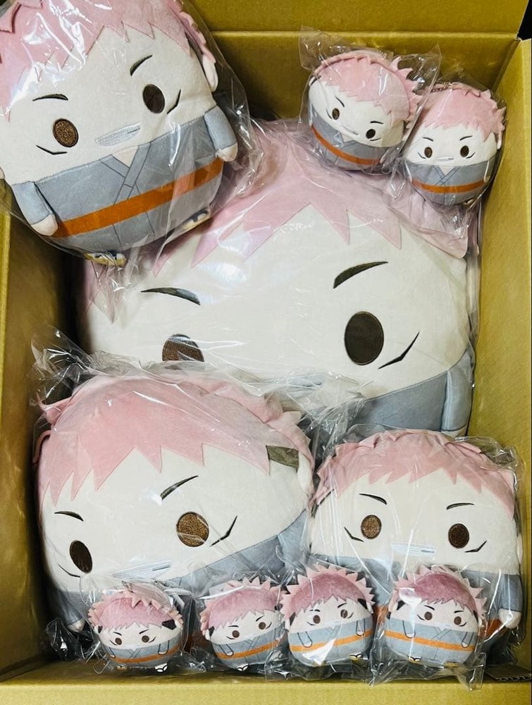Jujutsu Kaisen Yuji Itadori Fuwa Kororin Plush Complete Set A-E 10pcs