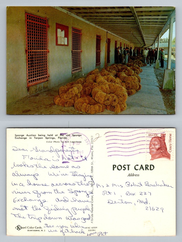 Tarpon Springs, FL-Florida, Sponge Auction Old Sponge Exchange Vintage Postcard