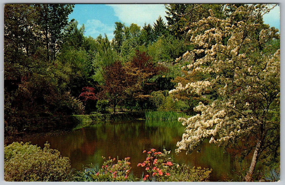 Vtg Postcard Sunken Gardens Lake Victoria, Bc, CA 1950s
