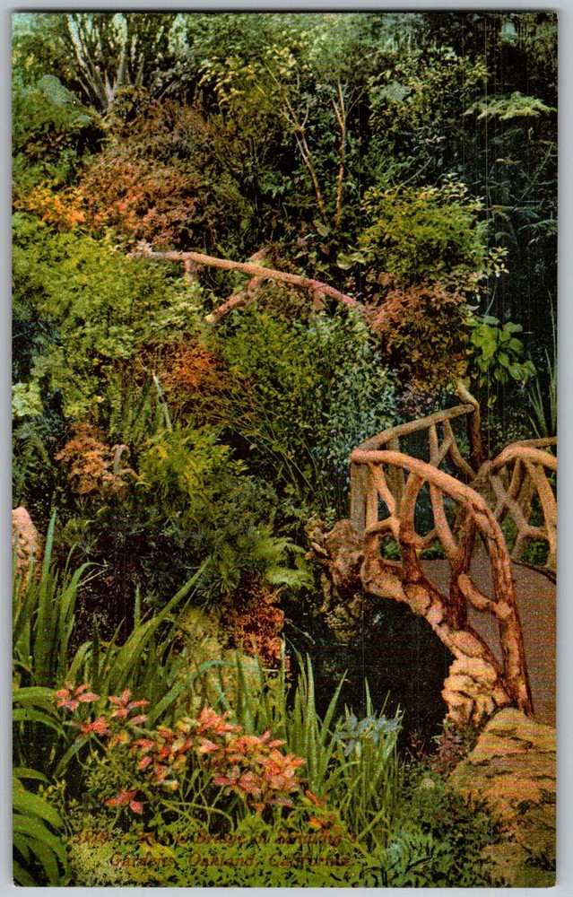 Antique Postcard Rustic Garden Bridge San Francisco, CA 1910s