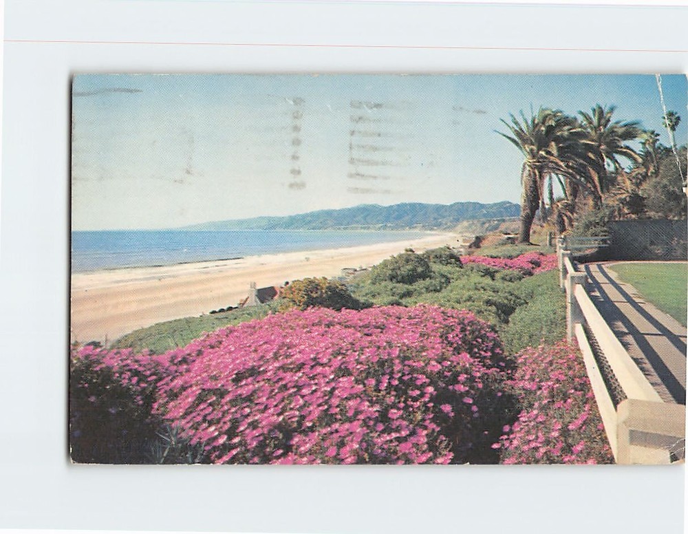 Postcard Displays of flowers in Palisades Park Santa Monica California USA