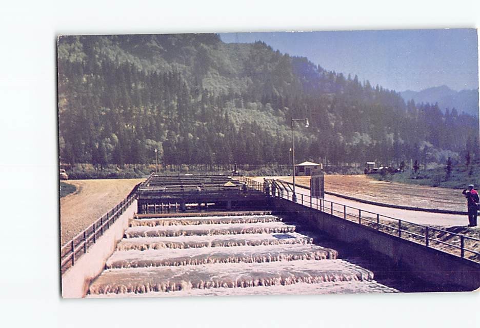 Postcard Bradford Island Fish Ladder Bonneville Dam USA