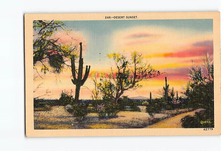 Postcard Desert Sunset