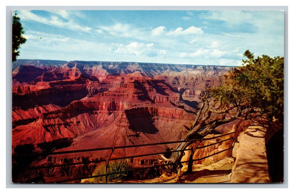Grand Canyon, AZ, Arizona, Hopi Point, National Park, Petley, Chrome Postcard