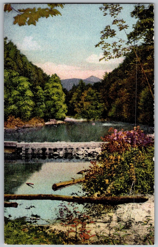 Antique Postcard MT Liberty Pemigewasset North Woodstock, NH 1910s