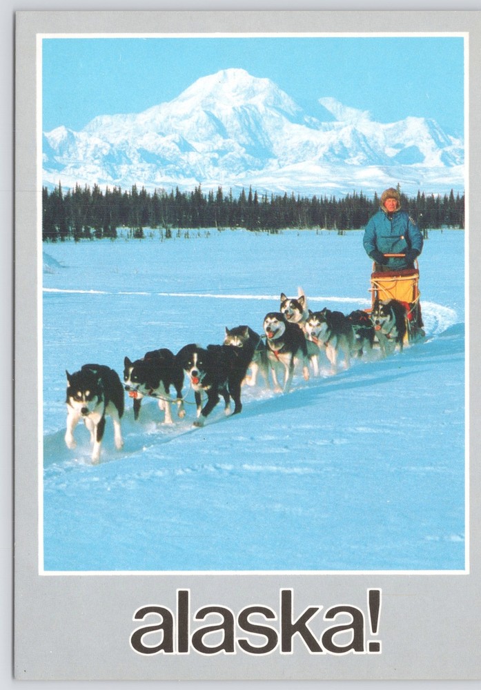PM 1993~The Dog Team~