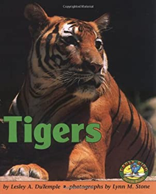 Tigers Hardcover Lesley A. DuTemple