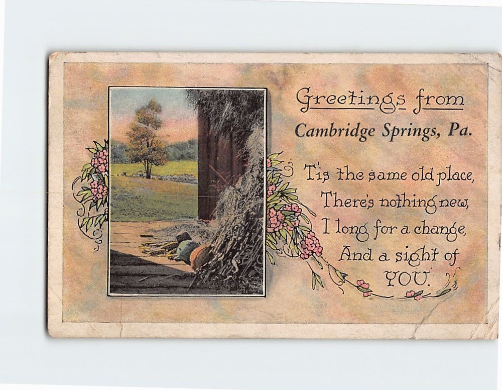 Postcard Nature Scene Greetings from Cambridge Springs Pennsylvania USA