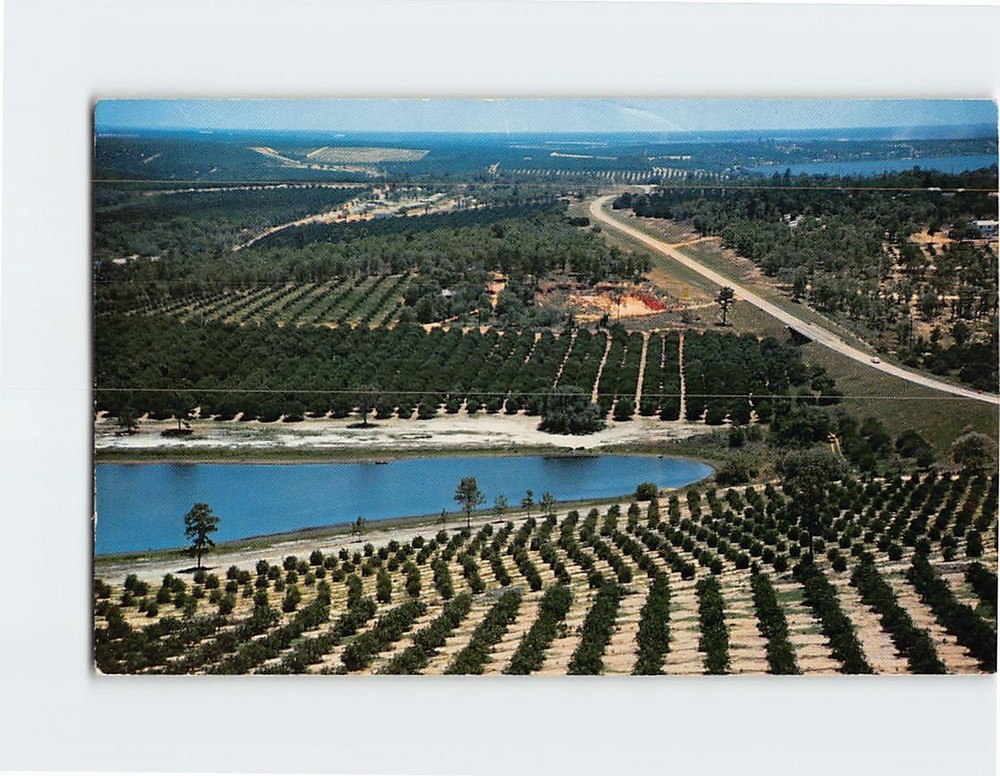 Postcard Citrus groves and lakes as seen from the top of the Citrus Tower FL USA