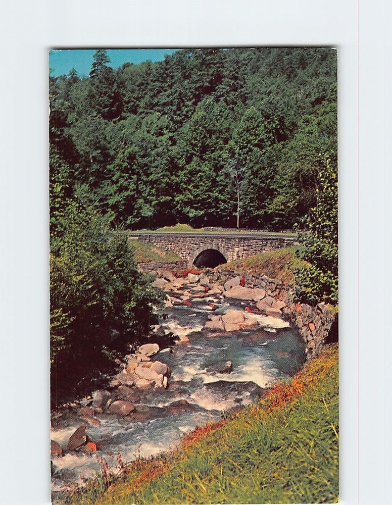 Postcard Little Pigeon River Great Smoky Mountains National Park TN-NC USA