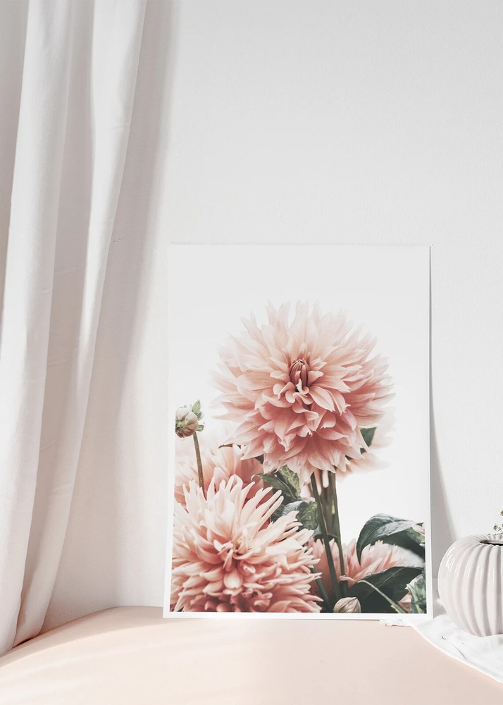 Dahlia Flower Wall Art Poster Premium Quality Choose your Size