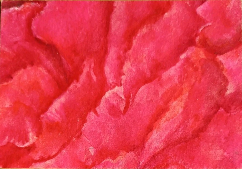 Original ACEO Red Peony  Watercolor Painting by Sharon Foster - Flower