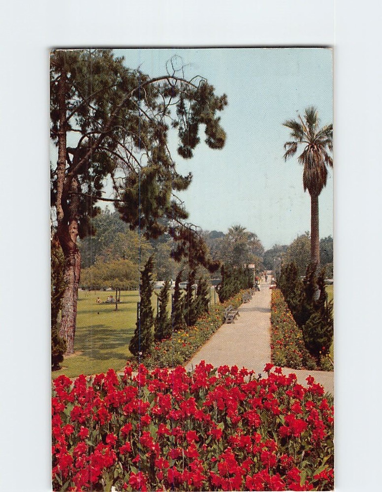 Postcard Bixby Park Long Beach California USA