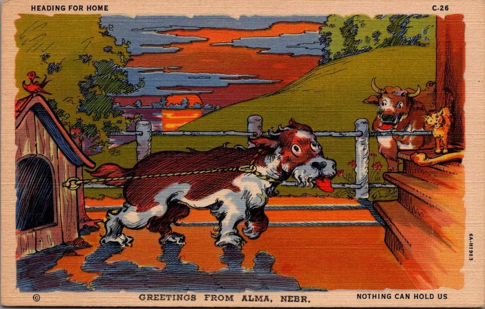 Vintage Alma Nebraska Dog Comics Linen Postcard Heading For Home C.T