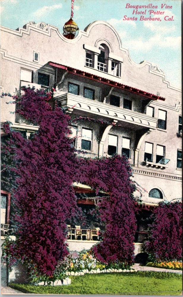 Santa Barbara CA -- Hotel Potter -- Bouganvillea Vine -- Vintage Postcard