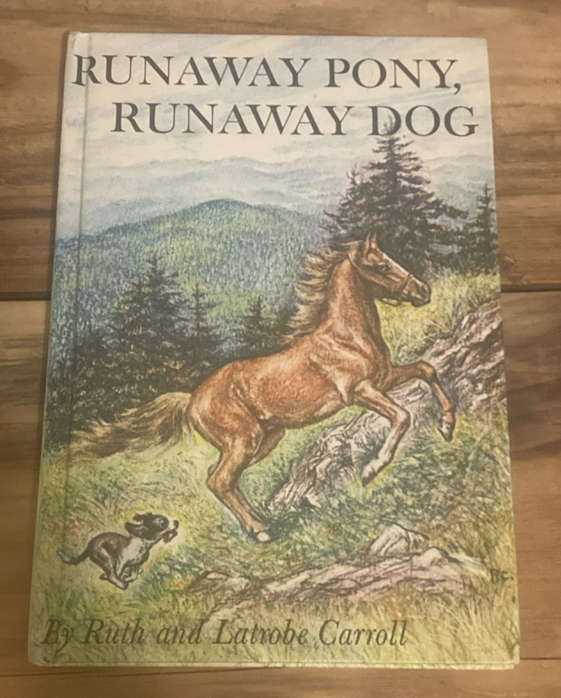 Runaway Pony Runaway Dog by Ruth Carroll Hardback Children’s Book Illustrated HC