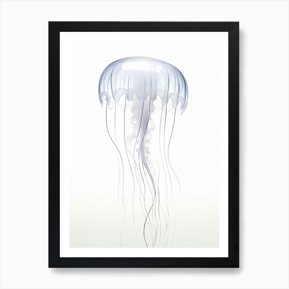Box Jellyfish Watercolor Framed Wall Art Canvas Print Poster