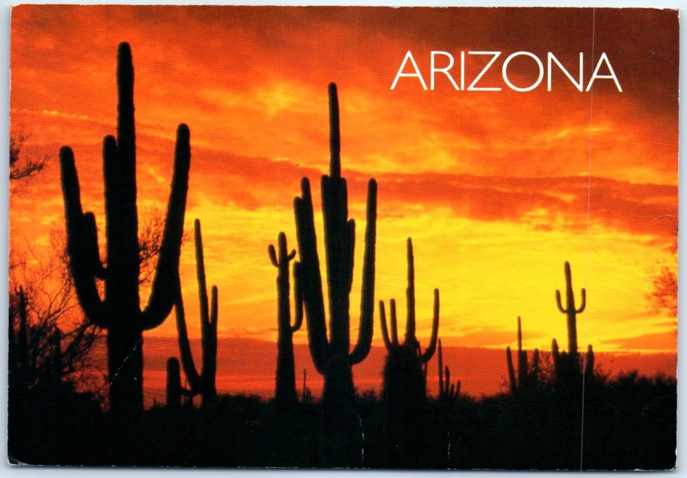 Postcard - Desert Sunset - Arizona, USA