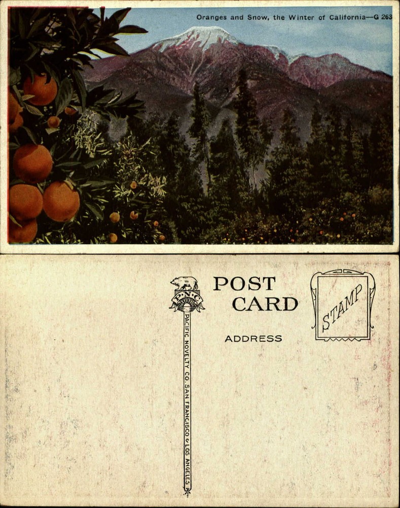 Oranges and snow Winter in California PNC 1920s mountains