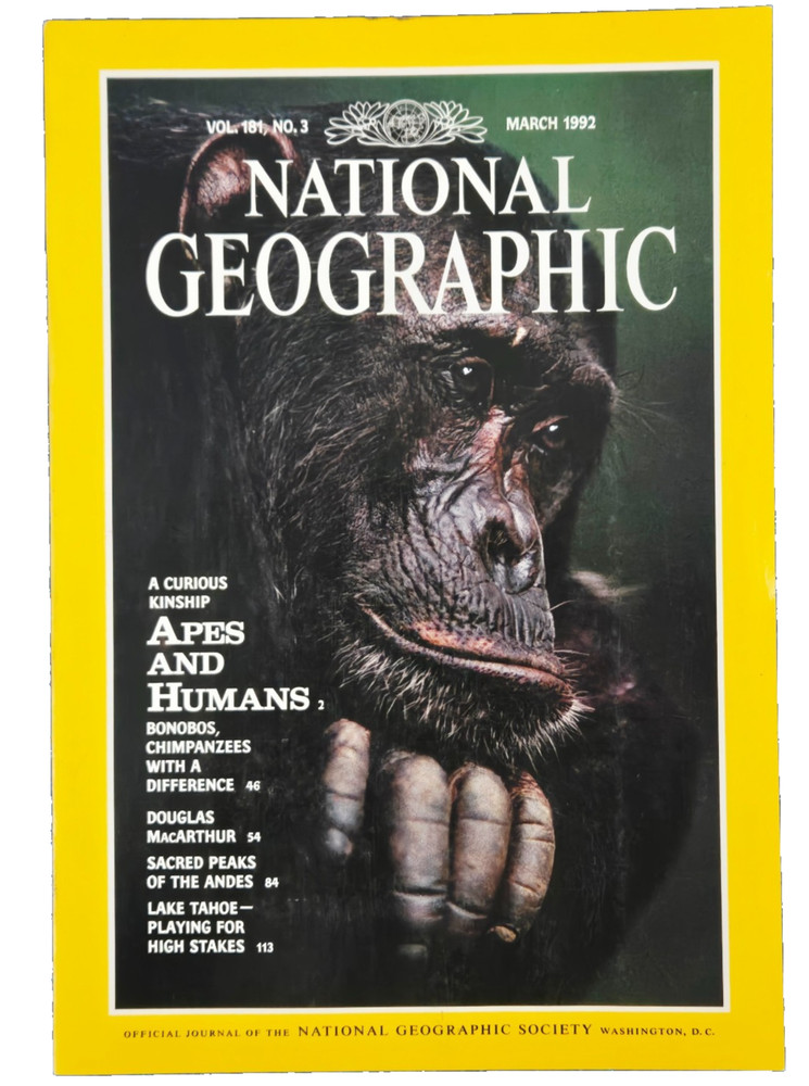 Apes And Humans March 1992 National Geographic Magazine