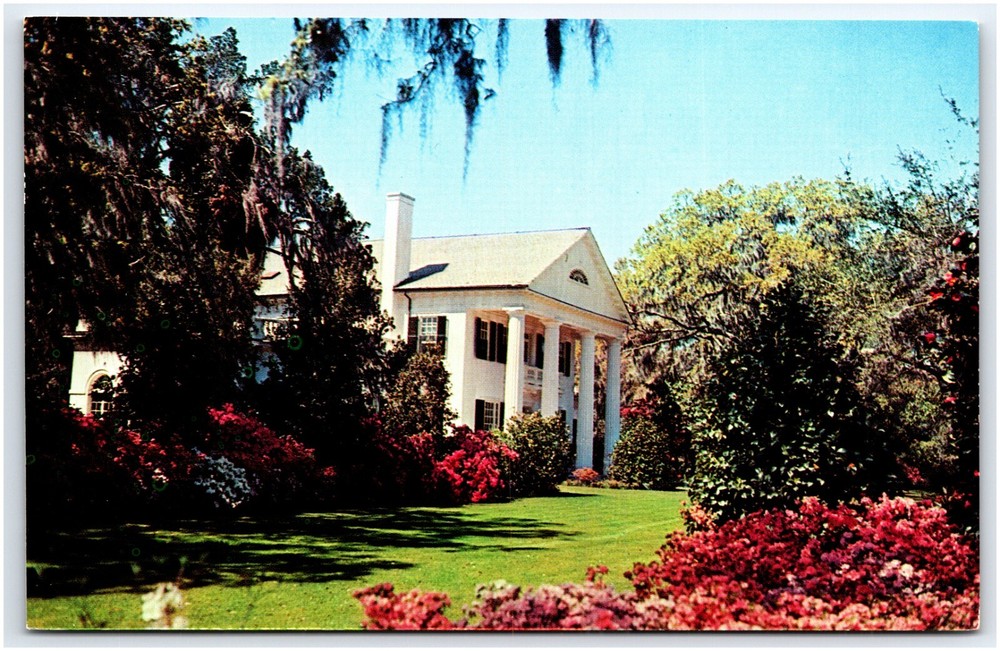 Postcard Azaleas at Orton Plantation Wilmington North Carolina