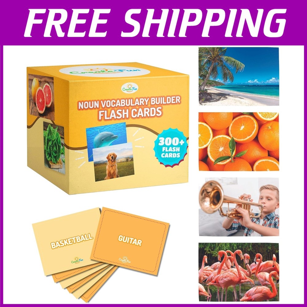 300 Noun Vocabulary Flash Cards for Speech Therapy & ESL-=$