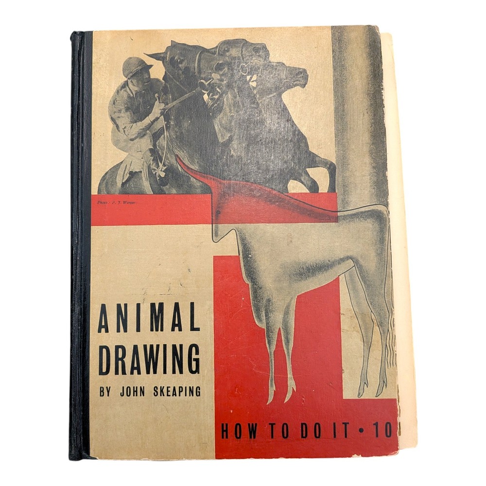 Animal Drawing John Skeaping How To Do It 10 1936 1st Edition **See Photo