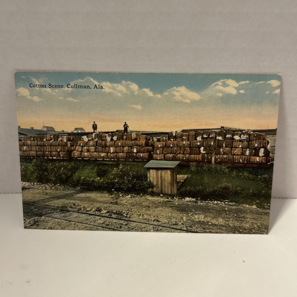 Vintage Postcard Cotton Scene Cullman Alabama