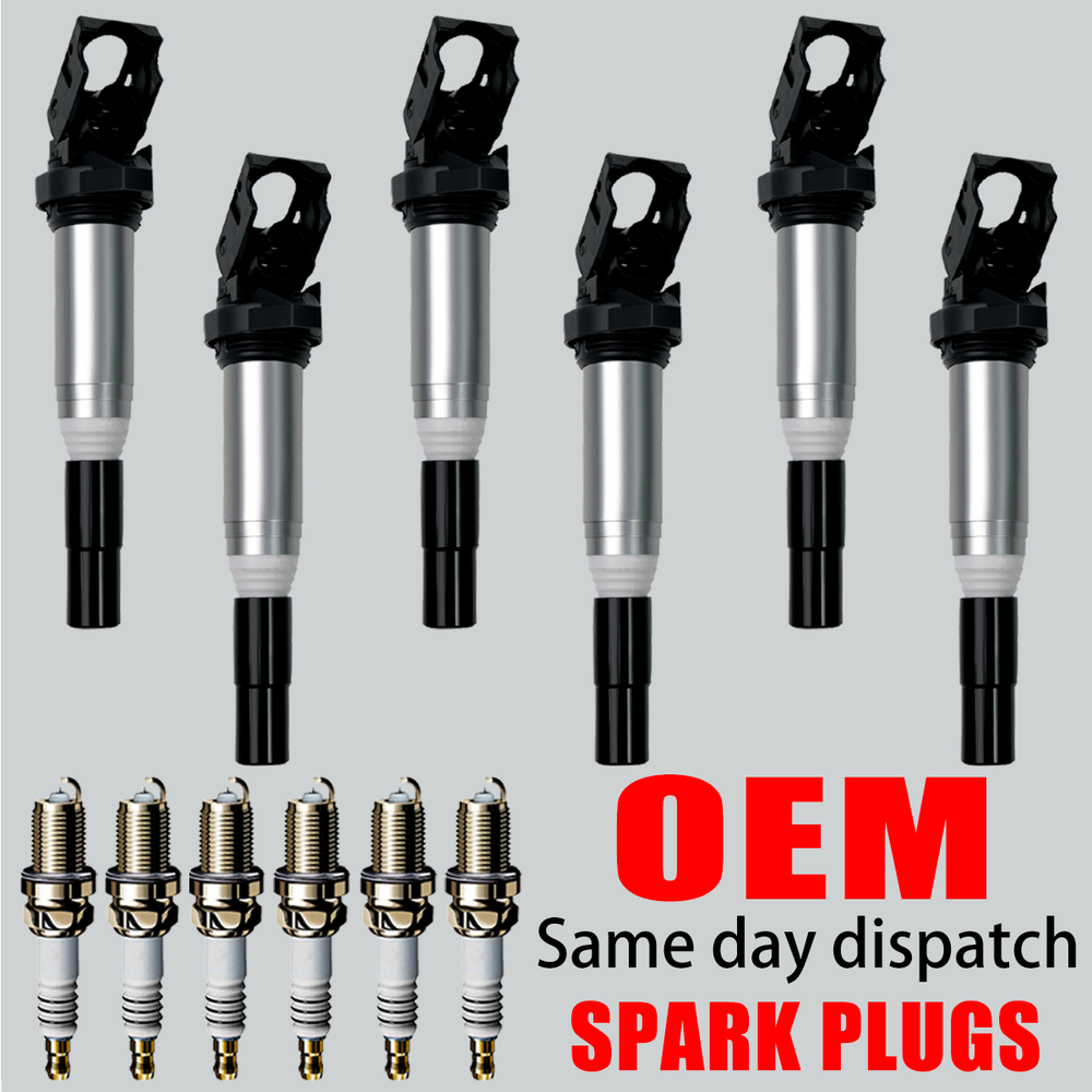 OEM 6X Ignition Coil & 6X Iridium Spark plug For BMW 328 330 528 650 X5 X6 UF667