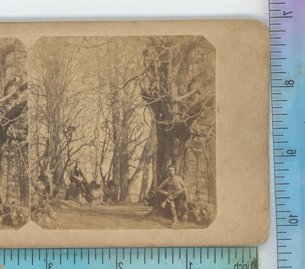 Two Men sitting in Wooded Area Back: View in East --- Park Stereoview