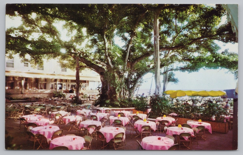 Hotel & Resort~Moana Hotel Banyan Court Lanai~Vintage Postcard