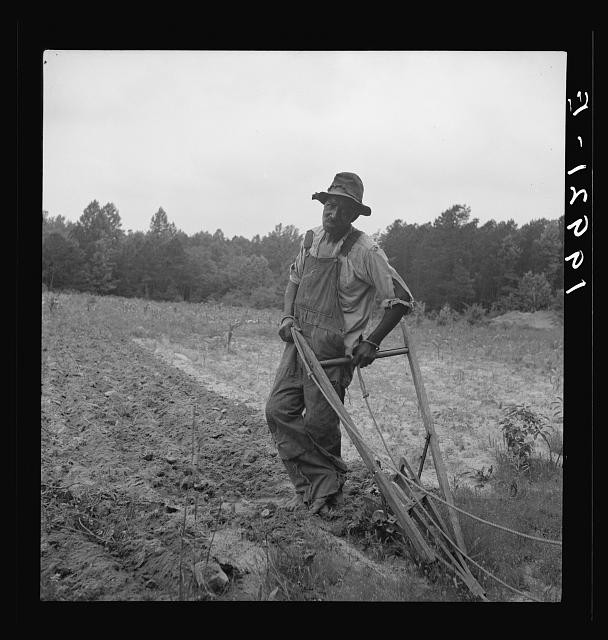 Photo:Person County North Carolina 1939 Negro Tenant Plowing Corn Field
