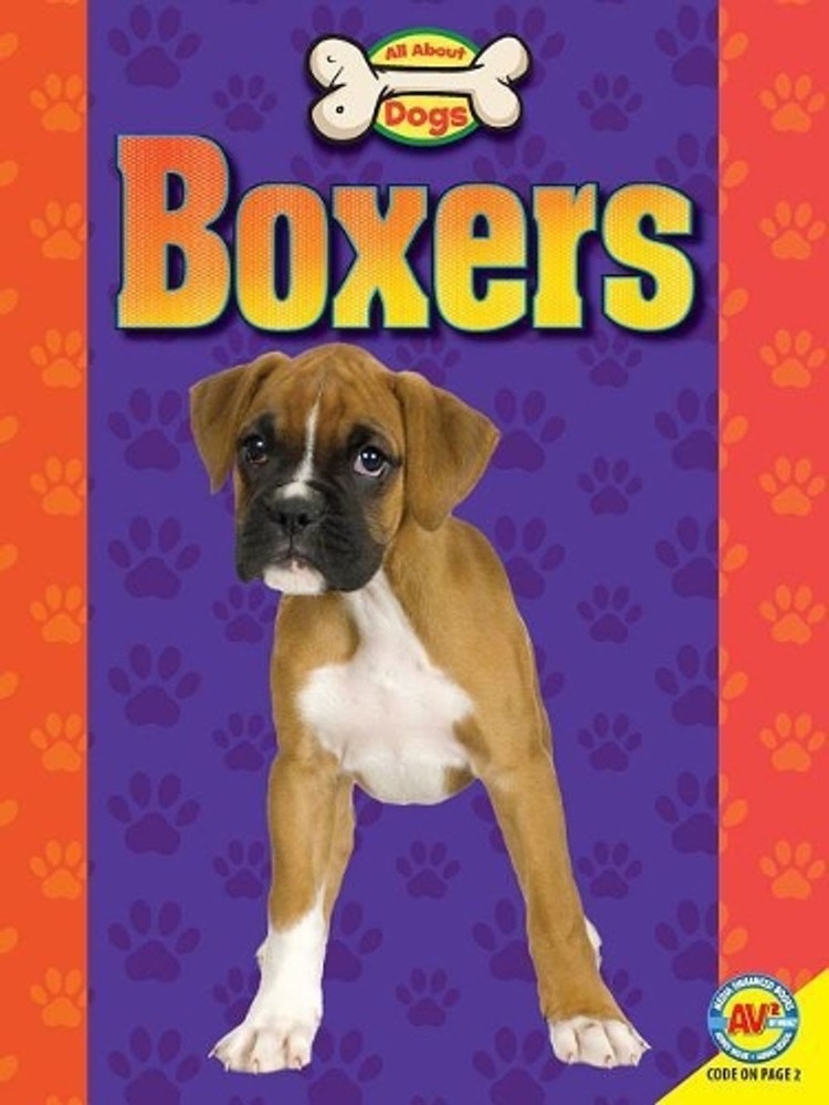 Boxers by Joanne Mattern (English) Paperback Book