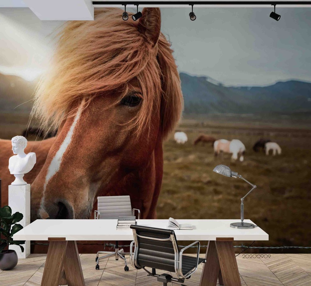 3D Horses Animals Close-up Wall Murals Wallpaper Murals Wall Sticker