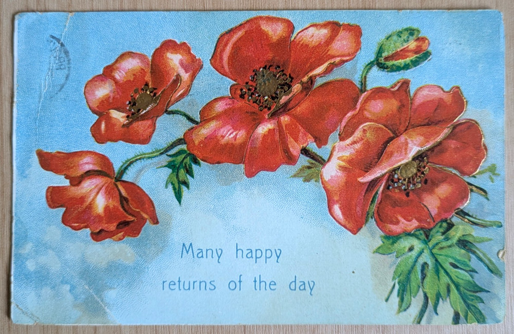 Red Poppy Flowers 