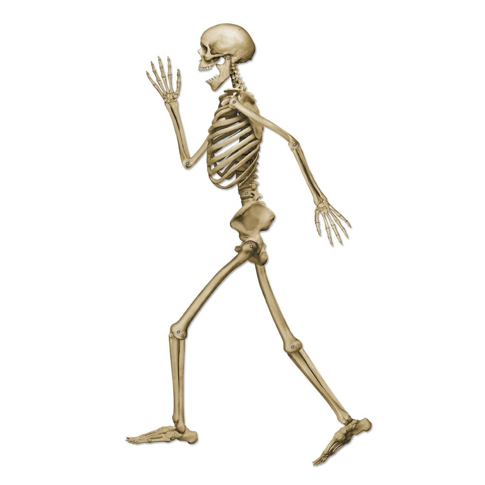 Beistle Profile Pete Jointed Skeleton - Halloween | Party Supply | Decoration