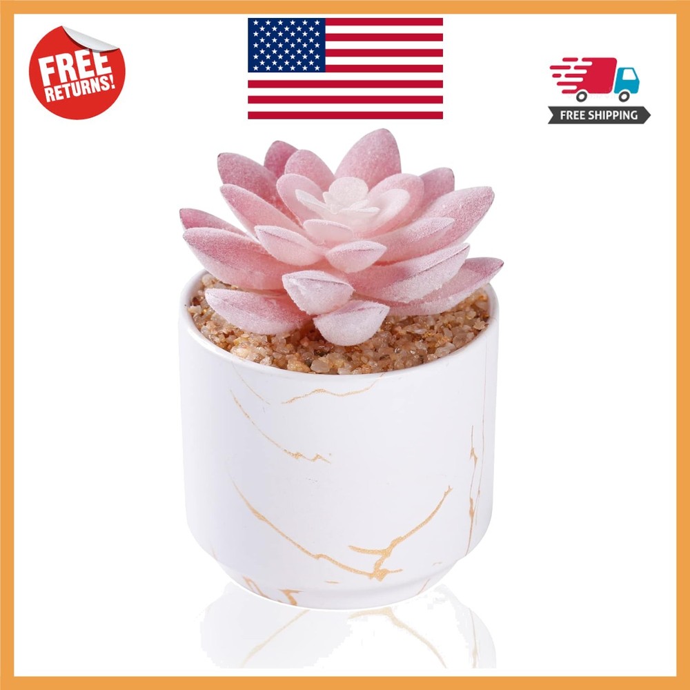 Charming Artificial Succulent in Elegant White Ceramic Pot - Small 2.2