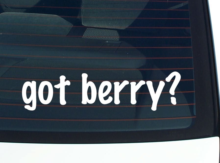 Berry Lover Car Decal Vinyl Bumper Sticker Window Pride Funny Last Name