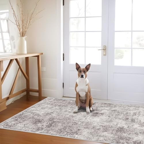 Abstract 3x5 Washable Rug: Modern Non Slip Area Rug Soft Carpet Foldable
