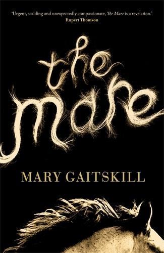 The Mare by Gaitskill, Mary Book The Fast Free ShippingFREE US DELIVERY | ISBN: 1781255938 | Quality Books