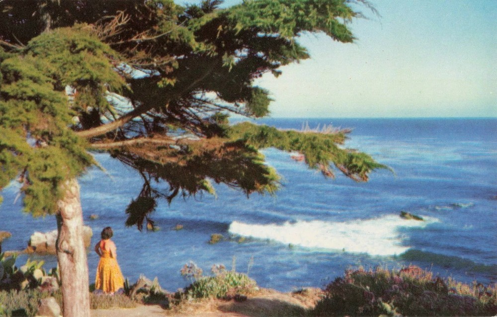 Rugged Coastline - The Monterey Peninsula - Carmel California CA - Postcard