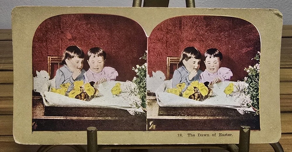Antique Stereoview Card 1899 