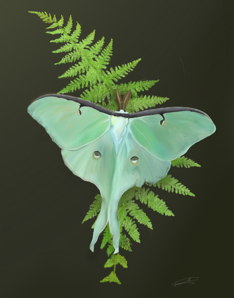 ART PRINT Witchy Luna Moth Green Fern Leaf Bug Cottage Core Oil Painting 8.5x11