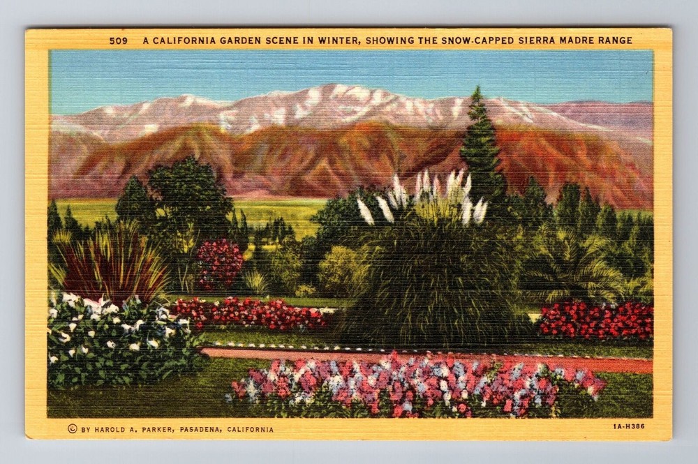 CA-California, Garden Scene In Winter, Antique, Vintage Souvenir Postcard