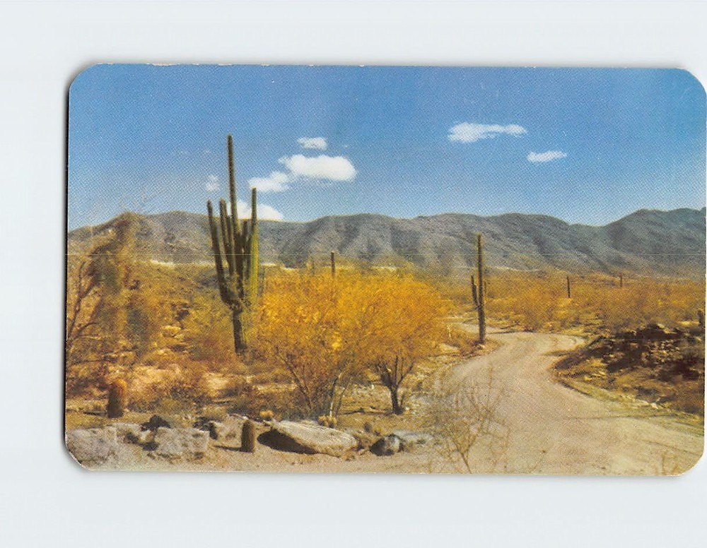 Postcard South Mountain Park Phoenix Arizona USA